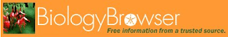 biology-browser